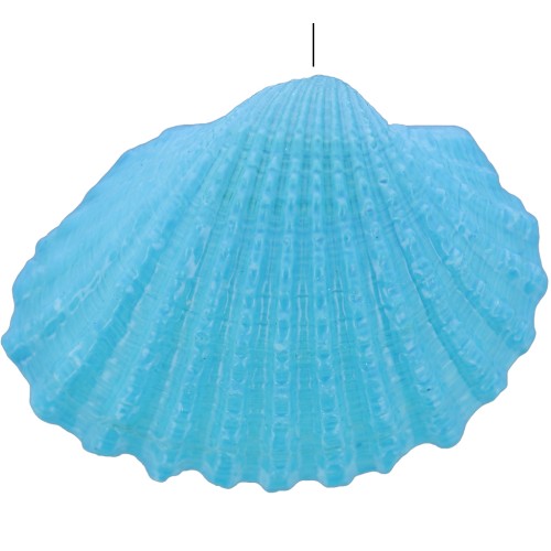 Pendentif coquillage teinté 16 à 20 mm - Bleu x1