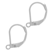 Boucles d'oreilles dormeuses 16 mm - Acier inoxydable 304 x20