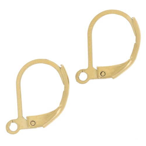 Boucles d'oreilles dormeuses 16 mm - Acier inoxydable 304L Doré x2