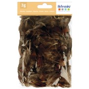 Plumes de faisan 3 à 5 cm pour bijoux et déco DIY - Naturel x3gr