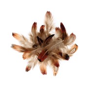 Plumes de faisan 3 à 5 cm pour bijoux et déco DIY - Naturel x3gr