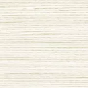 Fil Silamide A 0,20 mm Natural x36,5m