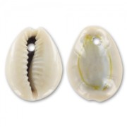 Pendentif coquillage Cauri Naturel x10