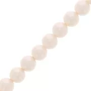 Perles nacrées Aurora 5810 8 mm - Crystal Creamrose Pearl x38cm