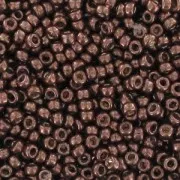 Rocaille Miyuki Duracoat 15/0 4213 - Galvanized  Dark Mauve x8g