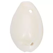 Assortiment intercalaires coquillages Cauri 19 à 22 mm - Naturel x10