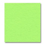 Rectangle de feutrine 1,5 mm 30,5x22,9 cm Neon Green x1|raw }}