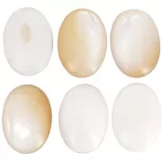 Cabochon ovale 18x13 mm Nacre
