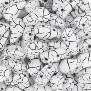 Perles en verre deux trous Paisley Duo 9x5.5 mm - Ionic White - Jet x10g