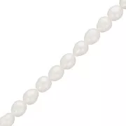 Perles d'eau douce grain de riz - 6x5 mm - Grade AA- Blanc x10