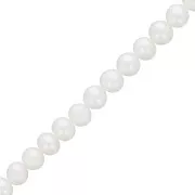 Perles d'eau douce rondes 5.5 mm - Grade AA Blanc x6