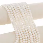 Perles d'eau douce rondes aplaties 8x6 mm - Grade AAA Blanc x4