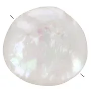 Perle d'eau douce irrégulière - palet rond 12 mm - Grade AA+  Blanc x1