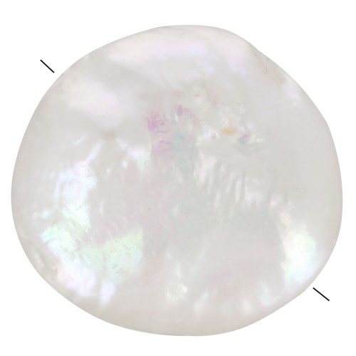 Perle d'eau douce irrégulière - palet rond 12 mm - Grade AA+  Blanc x1