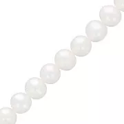 Perles d'eau douce rondes aplaties 6.5x7 mm - Grade AA-  Blanc x39cm