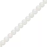 Perles d'eau douce ovales 5x4.5 mm - Grade AA-  Blanc x39cm