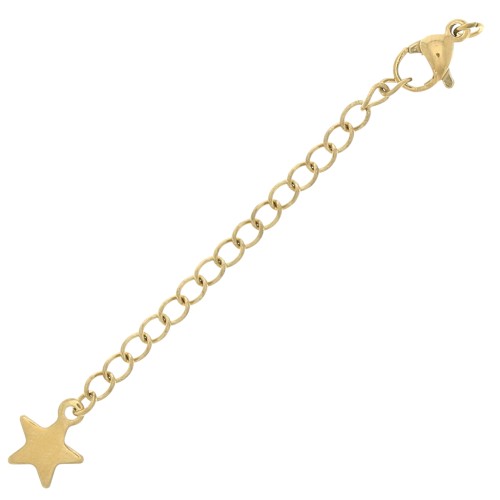 Fermoir mousqueton 10 mm chainette d'extension et étoile - Acier inox 304L Doré