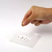 Kit savon Graine Créative - Kit savons Lavande x1