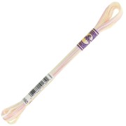 Fil à broder DMC Mouliné Color Variations - Gâteau d'anniversaire (4160) x8m