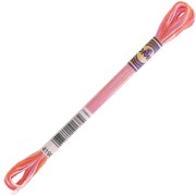 Fil à broder DMC Mouliné Color Variations - Saupoudrage (4190) x8m|raw }}