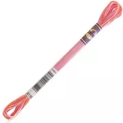 Fil à broder DMC Mouliné Color Variations - Saupoudrage (4190) x8m