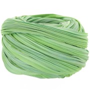 Ruban de soie Shibori Spring Green Borealis x10cm