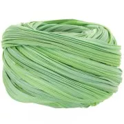 Ruban de soie Shibori Spring Green Borealis x10cm