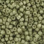 Miyuki Delica 11/0 DB1181 - Galvanized Semi Mat Aloe x8g