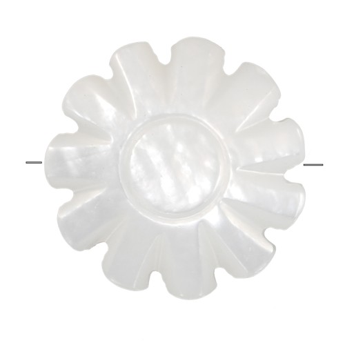 Perle fleur marguerite 10 mm en nacre - Naturel x1
