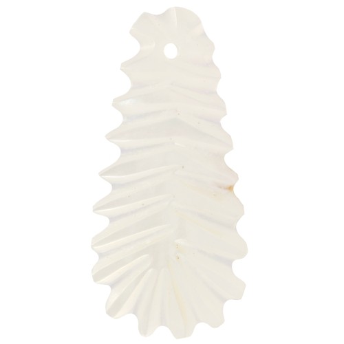 Pendentifs feuilles incurvées 25x13 mm en Nacre - Naturel x2