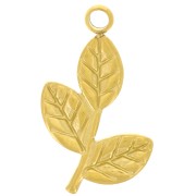 Pendentifs feuilles 19x12 mm - Acier inoxydable 316L Doré x8|raw }}
