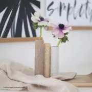 Pâte Fimo Effect 57gr - Effet Botanique Algue Marine (n°070)