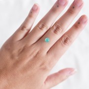 Chrysoprase rond 5.8 mm - 1.13 cts