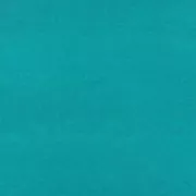 Papier de soie Paper Poetry 50x70cm Bleu Pétrole x5 feuilles