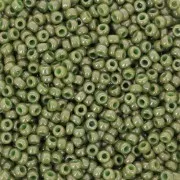 Rocaille Miyuki 11/0 4860 - Khaki Luster x8g