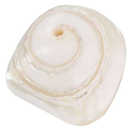 Perles cônes en coquillage 10x14 mm - Naturel x4