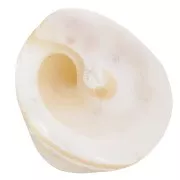 Perles cônes en coquillage 10x14 mm - Naturel x4