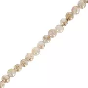 Perles rondes 4 mm en nacre effet AB - Doré x37cm