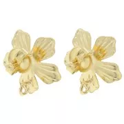 Clous d'oreilles fleur 16 mm avec anneau ouvert - Doré à l'or fin x2