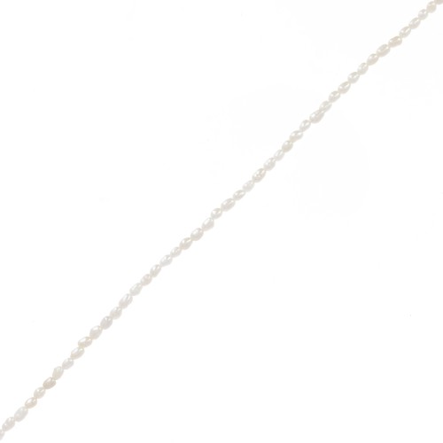 Perles d'eau douce grain de riz - 3x2 mm - Grade AA Blanc x40cm