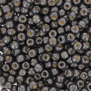 Rocaille Toho 8/0 TO8RPF595F - PF Cool Gray Mat Galvanized x8g