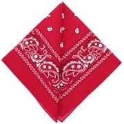 Bandana 100% coton - motif Cachemire - Rouge x1|raw }}