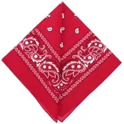 Bandana 100% coton - motif Cachemire - Rouge x1