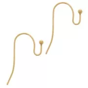 Crochets d'oreilles 12 mm - Acier inoxydable 304L Doré x2