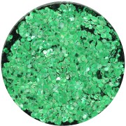 Paillettes biodégradables - Grosses - Vert x10g