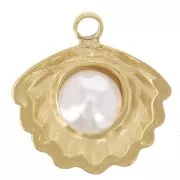 Breloque coquillage 10 mm avec perle imitation nacre - Acier inox 304L Doré x1