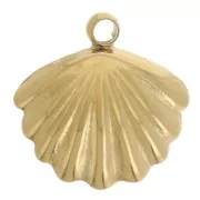 Breloque coquillage 10 mm avec perle imitation nacre - Acier inox 304L Doré x1