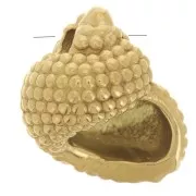 Breloque coquillage 14x12 mm - Acier inoxydable 304L Doré x1