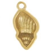 Breloque coquillage bombé 17x9 mm - Acier inoxydable 304L Doré x1