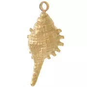 Breloque coquillage 20x9 mm - Acier inoxydable 304L Doré x1